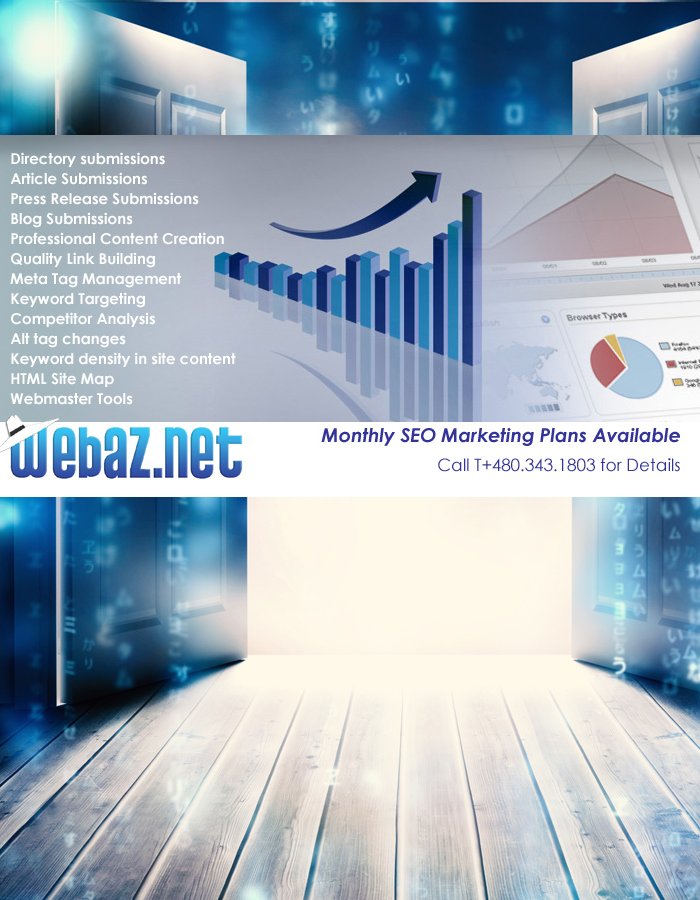 WebAZ professional SEO Services